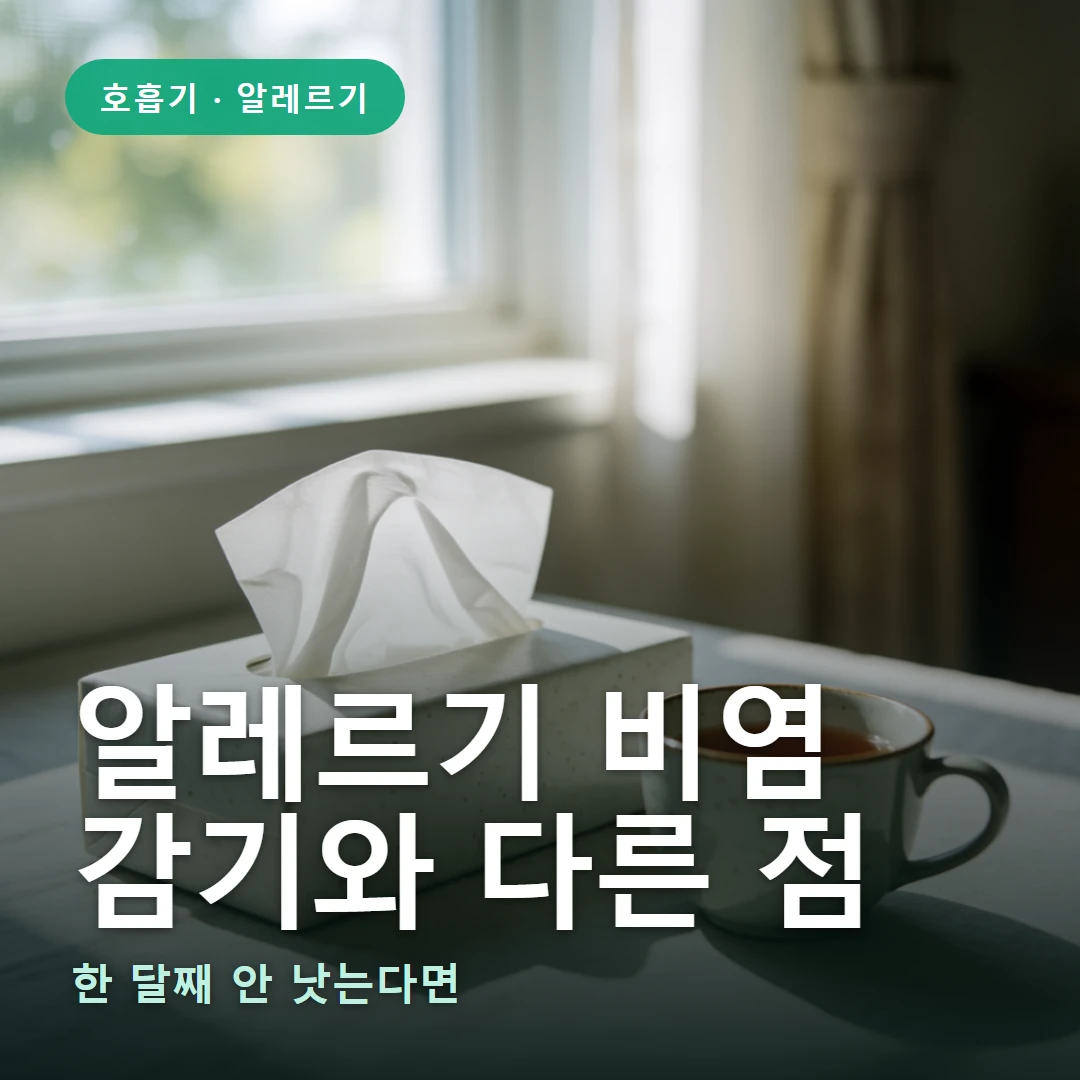 알레르기 비염 요약 표지 — 한 달째 안 낫는다면