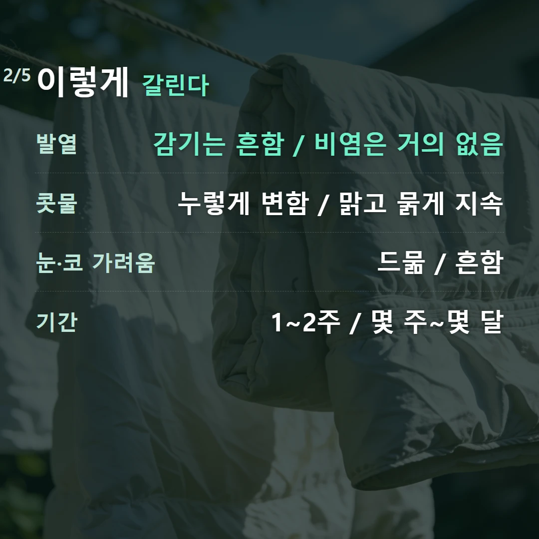 이렇게 갈린다 — 발열 감기는 흔함 / 비염은 거의 없음, 콧물 누렇게 변함 / 맑고 묽게 지속, 눈·코 가려움 드묾 / 흔함, 기간 1~2주 / 몇 주~몇 달