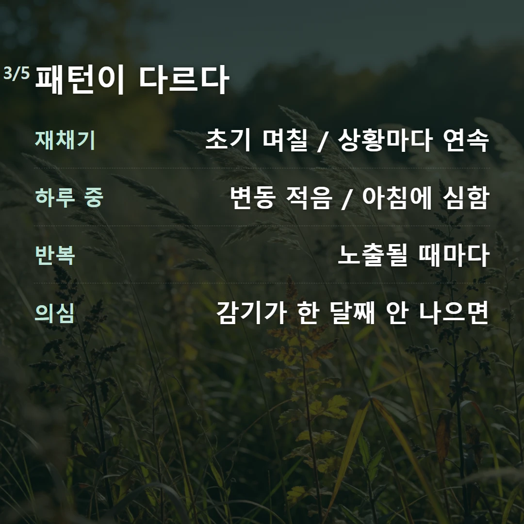 패턴이 다르다 — 재채기 초기 며칠 / 상황마다 연속, 하루 중 변동 적음 / 아침에 심함, 반복 노출될 때마다, 의심 감기가 한 달째 안 나으면