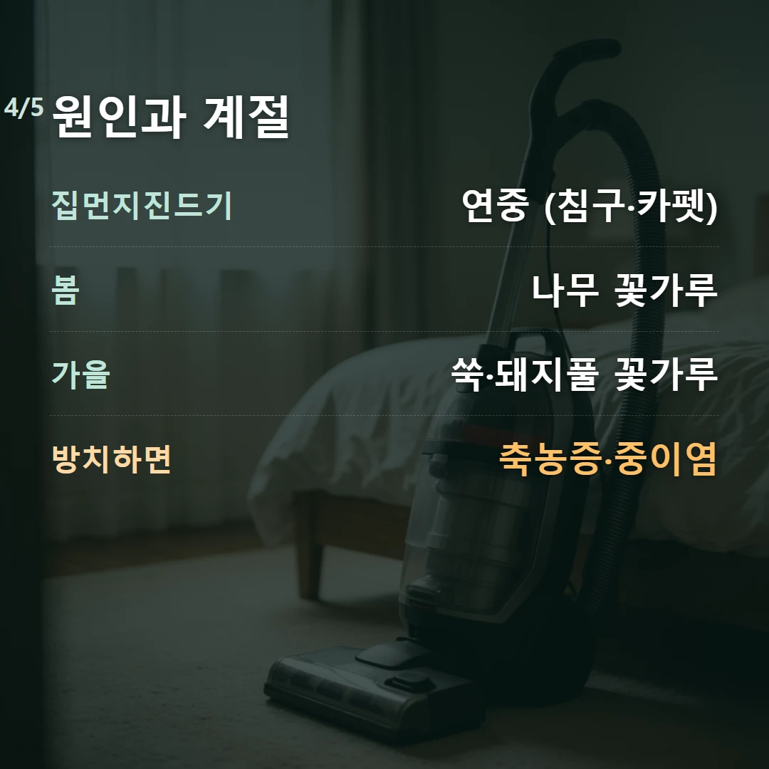 원인과 계절 — 집먼지진드기 연중 (침구·카펫), 봄 나무 꽃가루, 가을 쑥·돼지풀 꽃가루, 방치하면 축농증·중이염