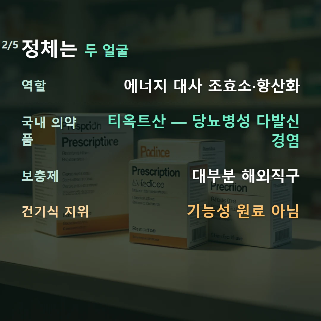 정체는 두 얼굴 — 역할 에너지 대사 조효소·항산화, 국내 의약품 티옥트산 — 당뇨병성 다발신경염, 보충제 대부분 해외직구, 건기식 지위 기능성 원료 아님