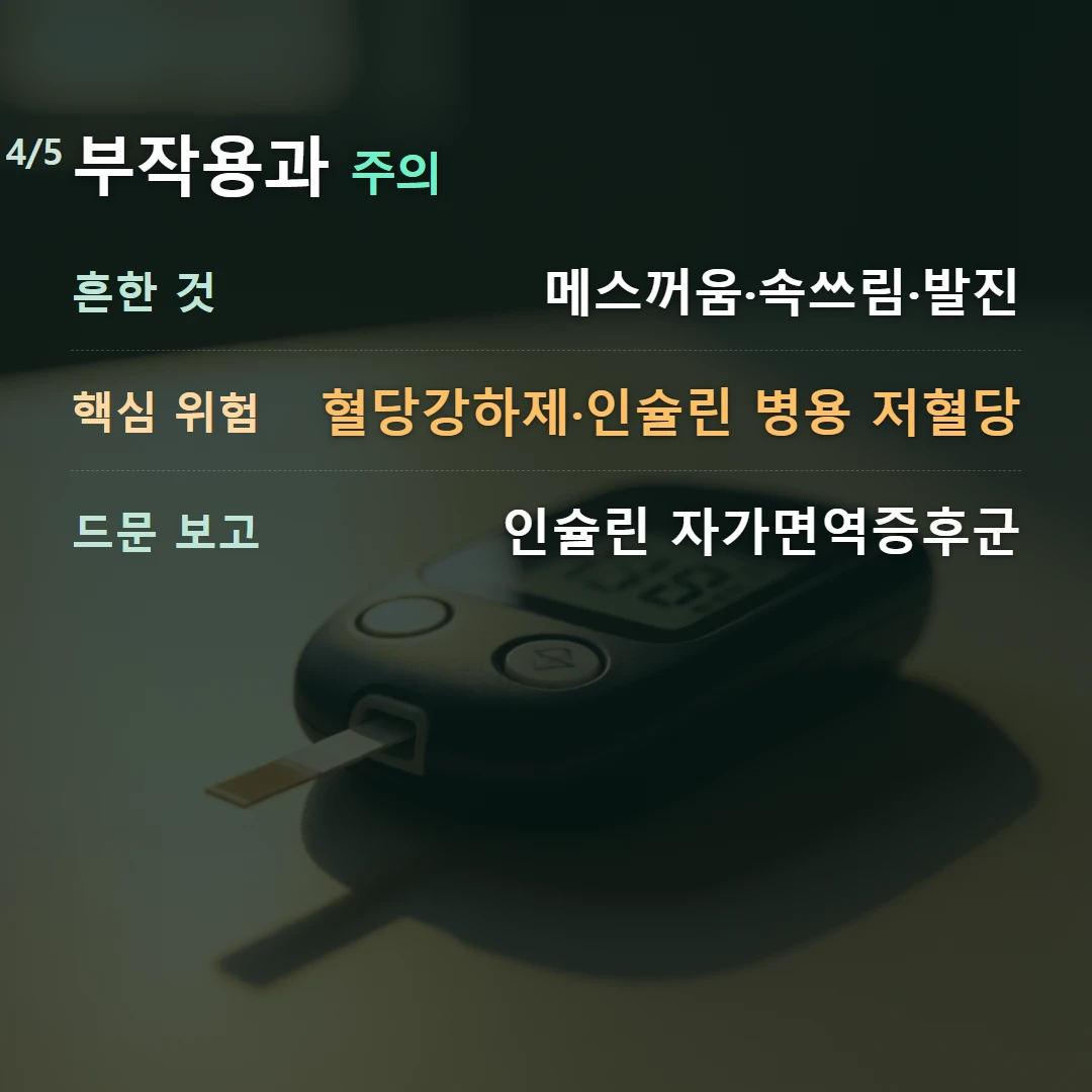 부작용과 주의 — 흔한 것 메스꺼움·속쓰림·발진, 핵심 위험 혈당강하제·인슐린 병용 저혈당, 드문 보고 인슐린 자가면역증후군