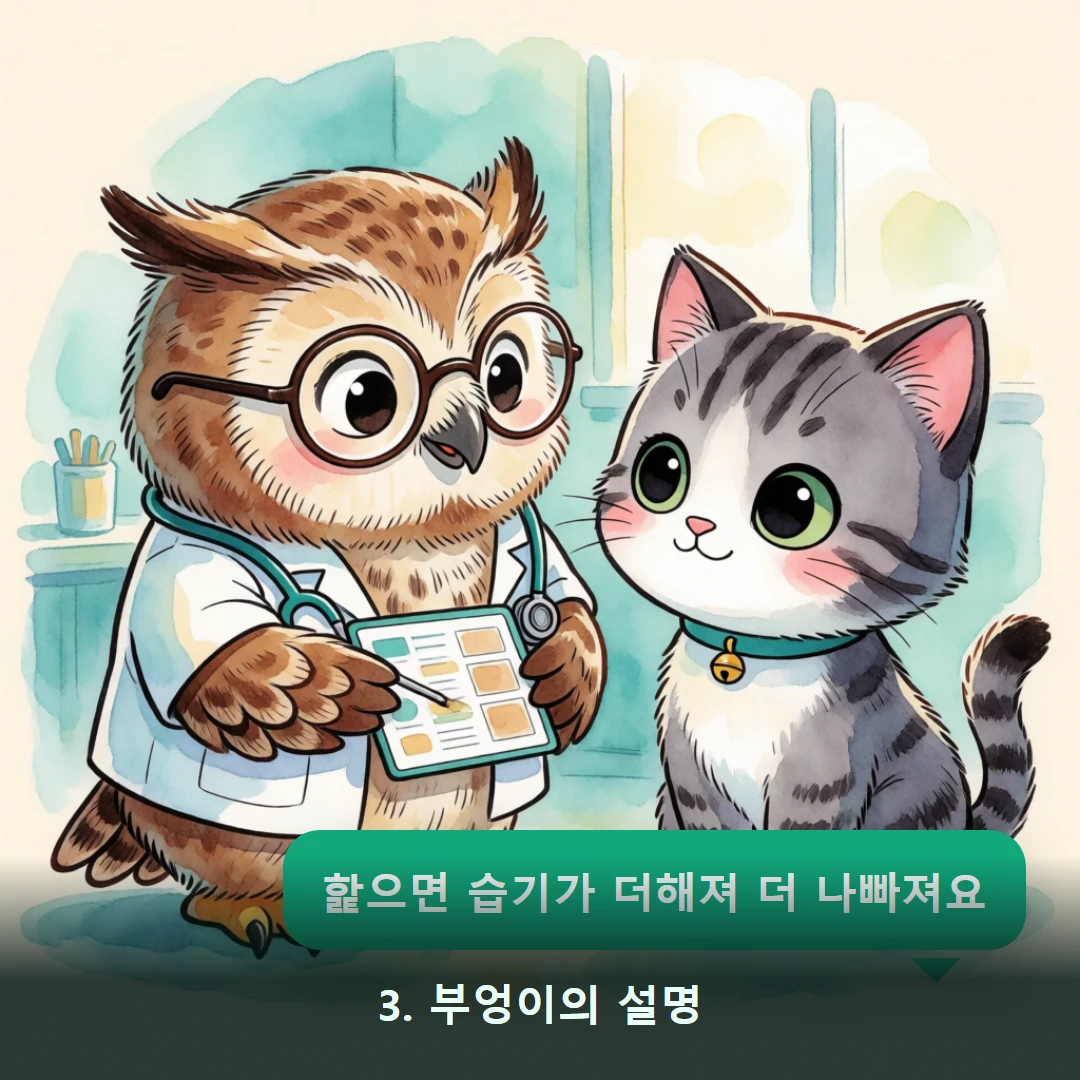 웹툰 3컷 — 3. 부엉이의 설명 (핥으면 습기가 더해져 더 나빠져요)