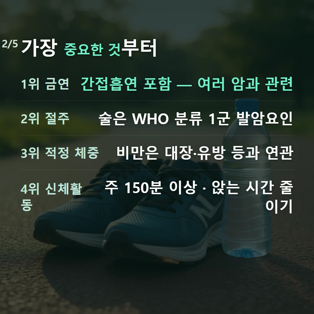 가장 중요한 것부터 — 1위 금연 간접흡연 포함 — 여러 암과 관련, 2위 절주 술은 WHO 분류 1군 발암요인, 3위 적정 체중 비만은 대장·유방 등과 연관, 4위 신체활동 주 150분 이상 · 앉는 시간 줄이기
