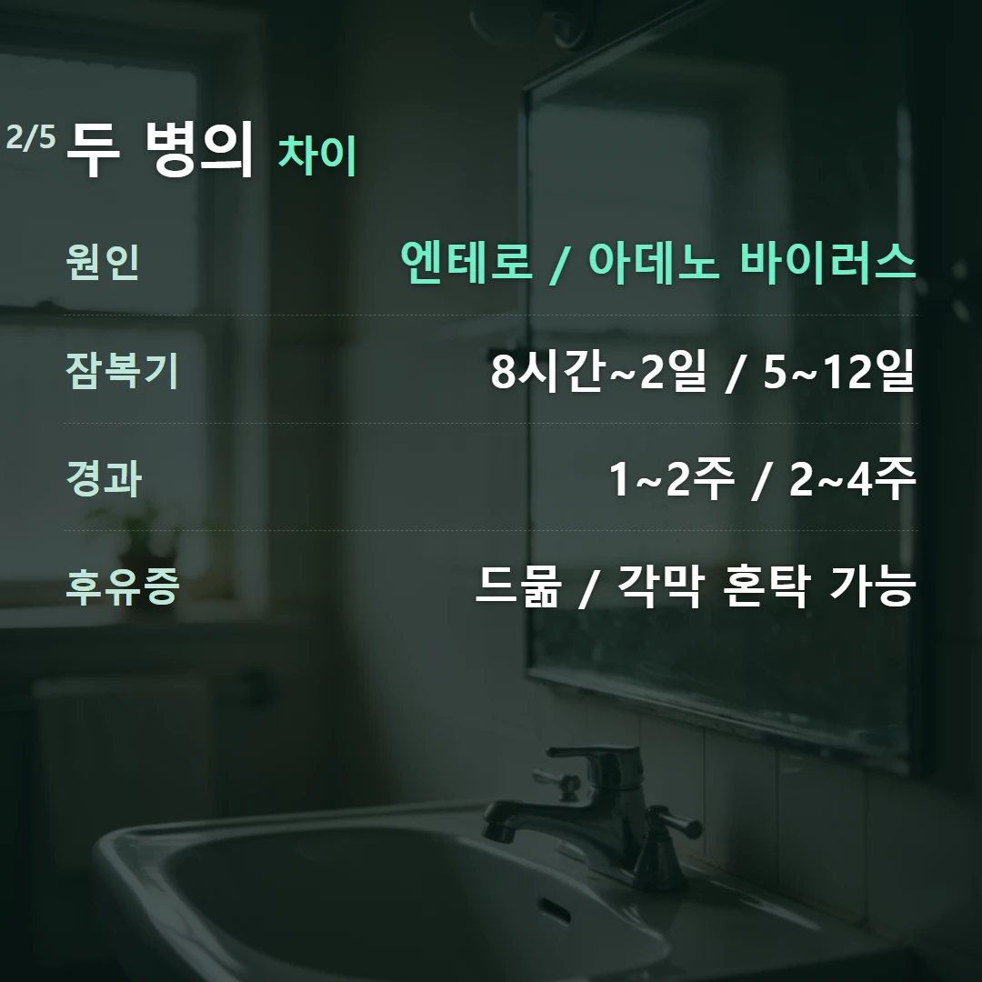 두 병의 차이 — 원인 엔테로 / 아데노 바이러스, 잠복기 8시간~2일 / 5~12일, 경과 1~2주 / 2~4주, 후유증 드묾 / 각막 혼탁 가능