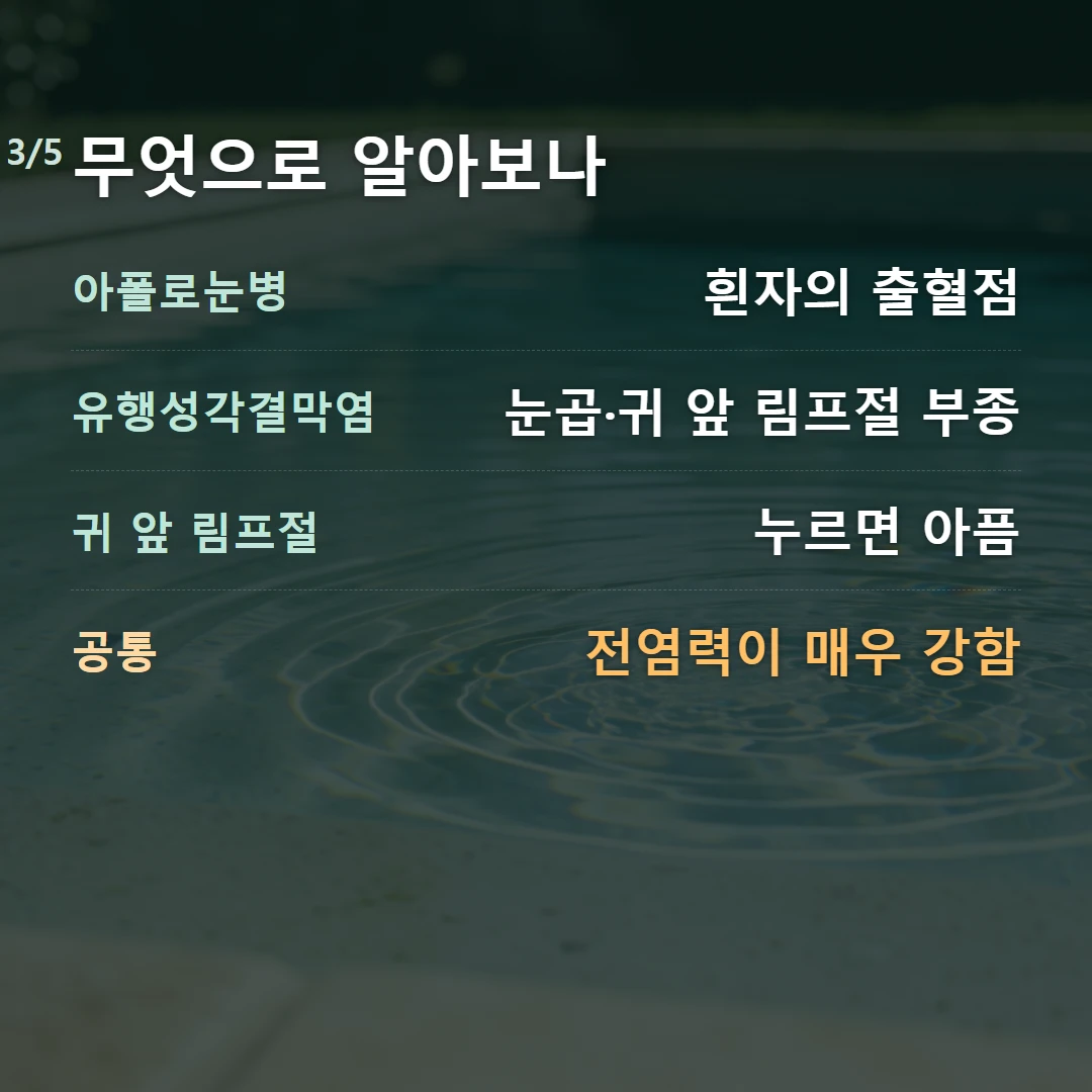 무엇으로 알아보나 — 아폴로눈병 흰자의 출혈점, 유행성각결막염 눈곱·귀 앞 림프절 부종, 귀 앞 림프절 누르면 아픔, 공통 전염력이 매우 강함