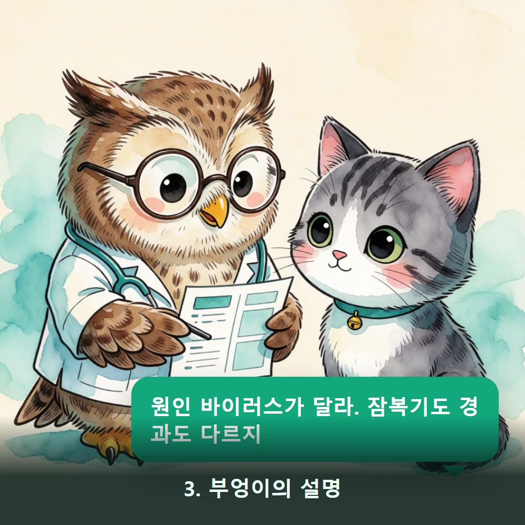 웹툰 3컷 — 3. 부엉이의 설명 (원인 바이러스가 달라. 잠복기도 경과도 다르지)