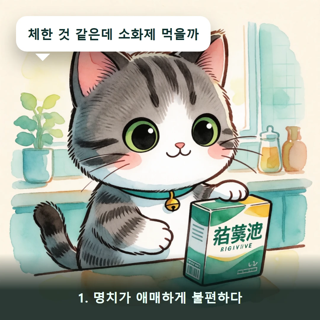 웹툰 1컷 — 1. 명치가 애매하게 불편하다 (체한 것 같은데 소화제 먹을까)