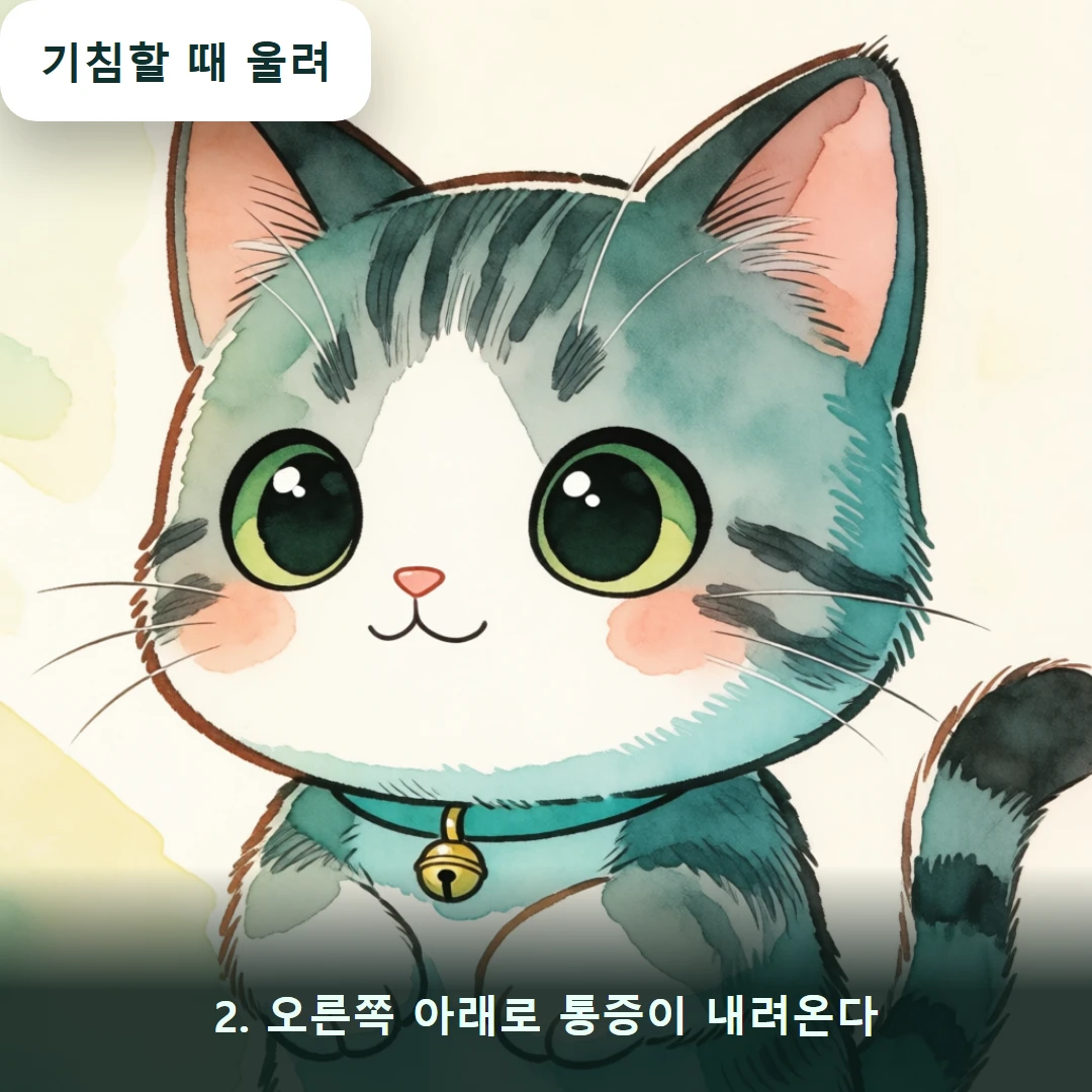 웹툰 2컷 — 2. 오른쪽 아래로 통증이 내려온다 (기침할 때 울려)