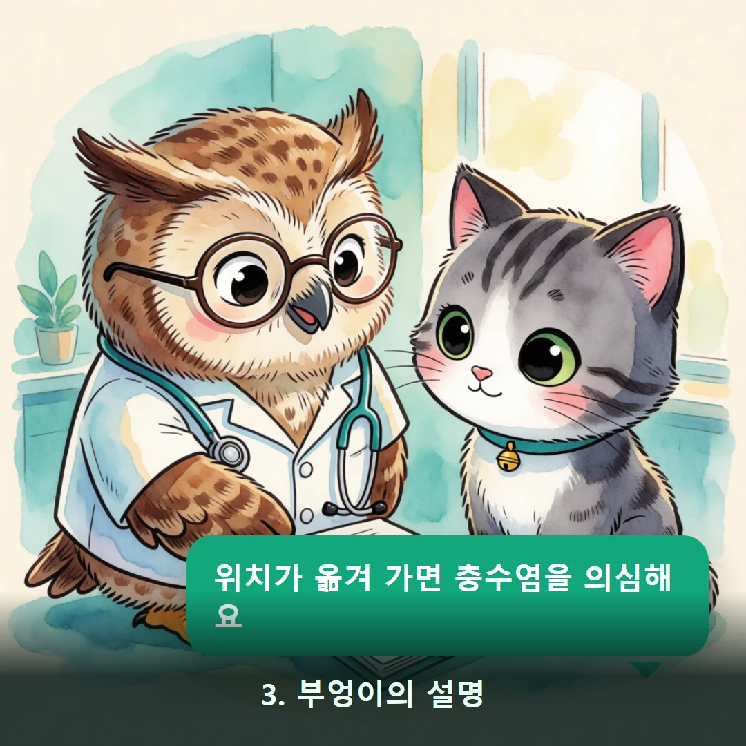 웹툰 3컷 — 3. 부엉이의 설명 (위치가 옮겨 가면 충수염을 의심해요)