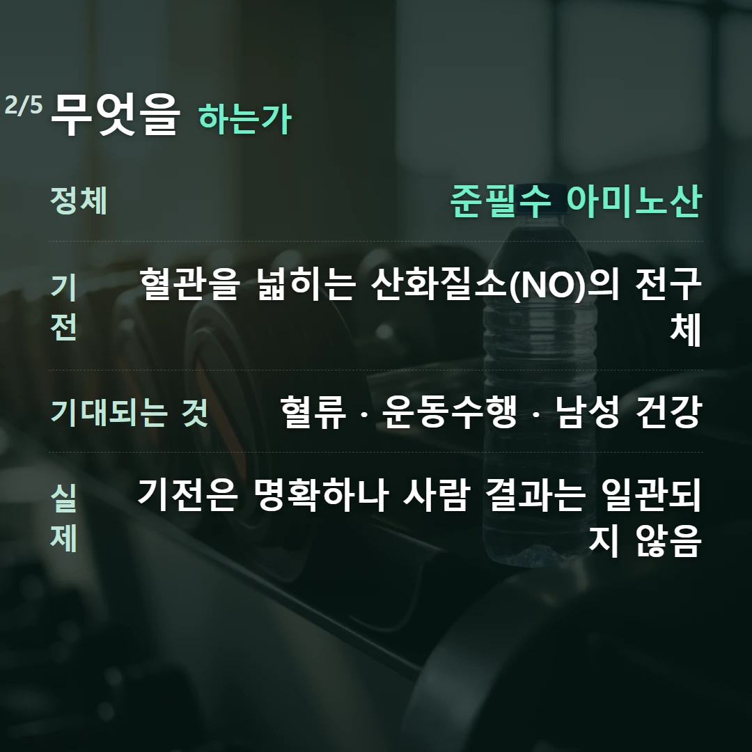 무엇을 하는가 — 정체 준필수 아미노산, 기전 혈관을 넓히는 산화질소(NO)의 전구체, 기대되는 것 혈류 · 운동수행 · 남성 건강, 실제 기전은 명확하나 사람 결과는 일관되지 않음