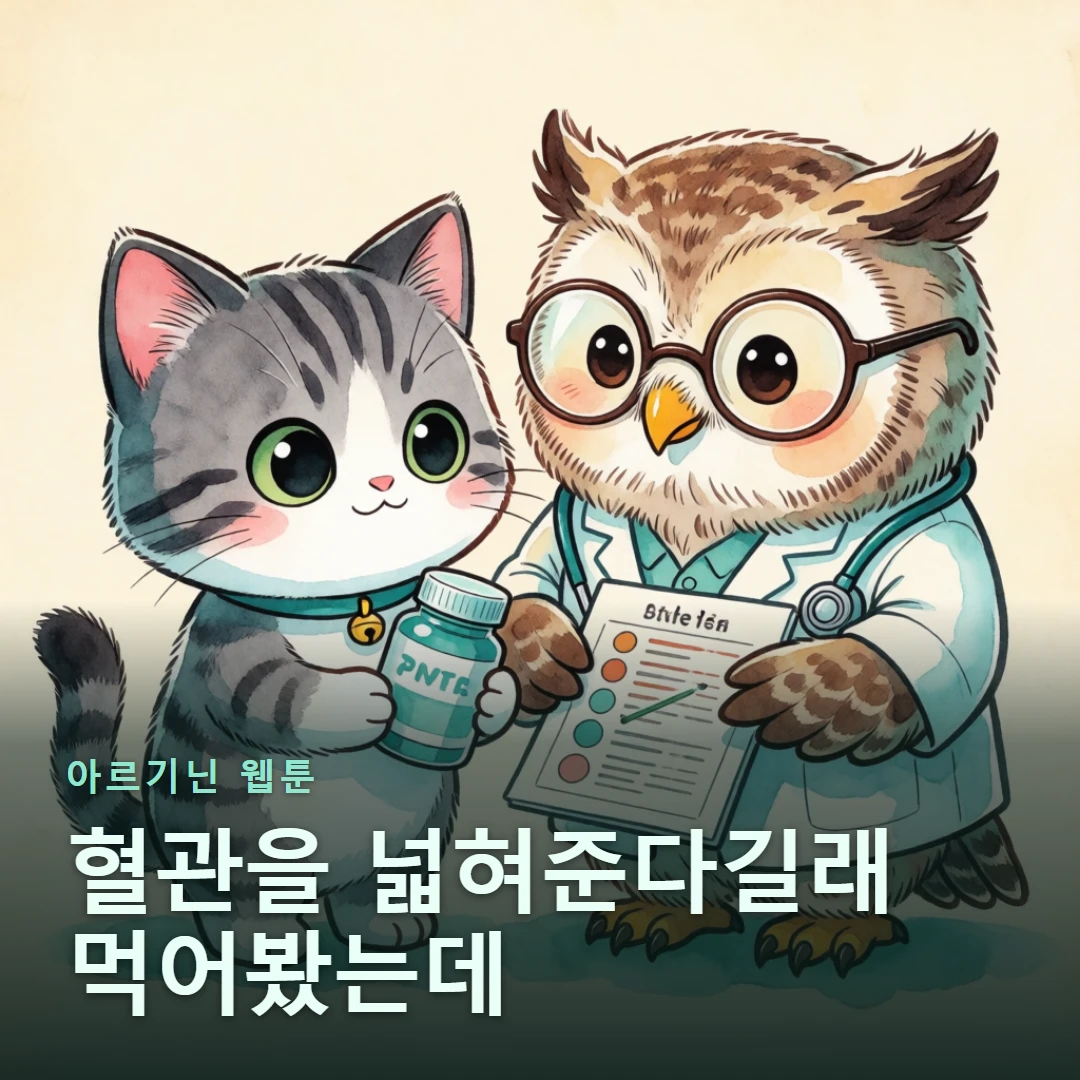 아르기닌 웹툰 표지 — 혈관을 넓혀준다길래 먹어봤는데