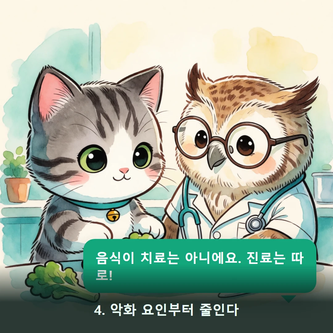 웹툰 4컷 — 4. 악화 요인부터 줄인다 (음식이 치료는 아니에요. 진료는 따로!)