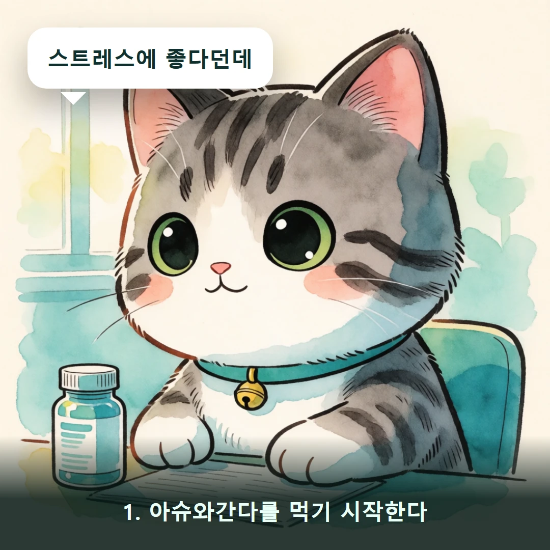 웹툰 1컷 — 1. 아슈와간다를 먹기 시작한다 (스트레스에 좋다던데)