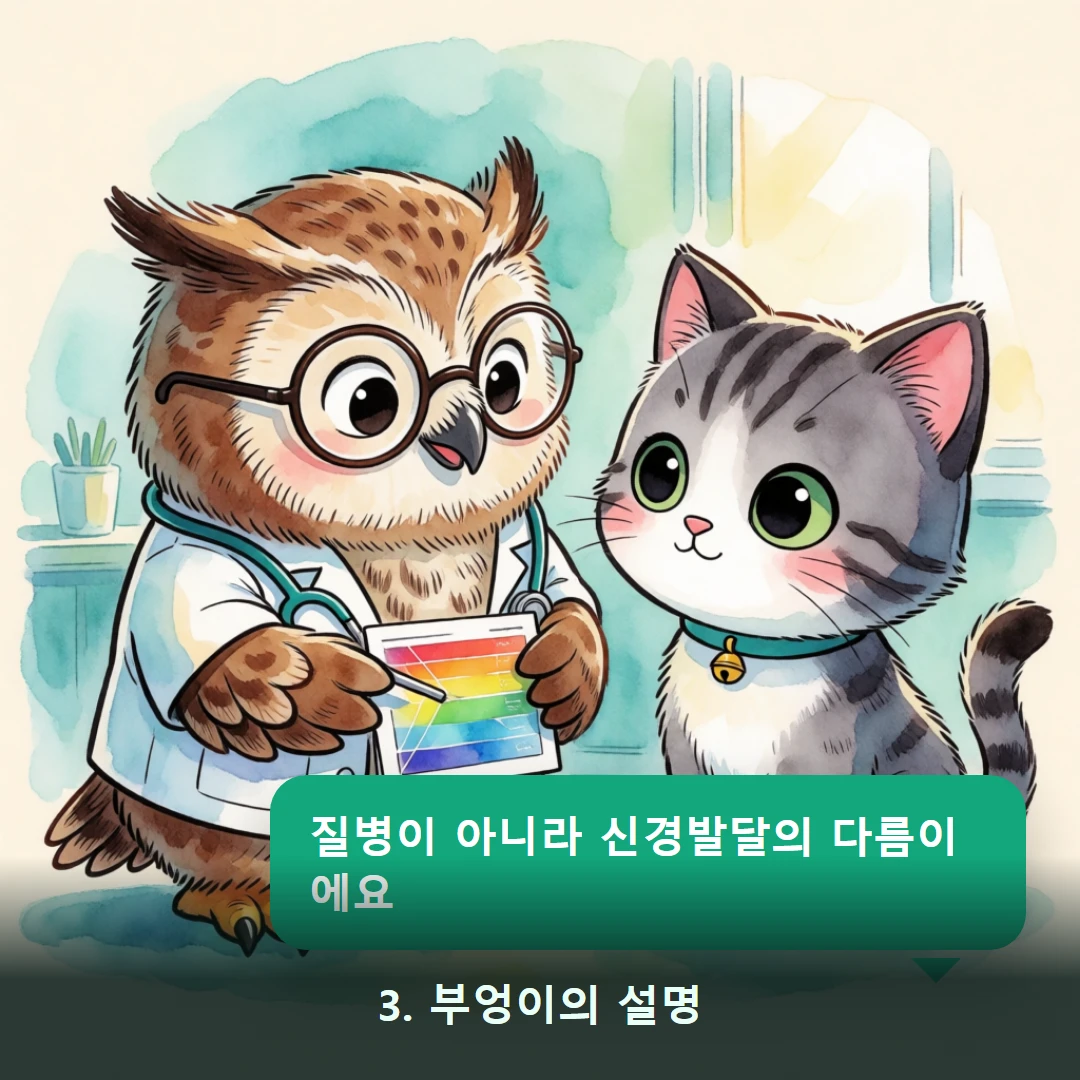 웹툰 3컷 — 3. 부엉이의 설명 (질병이 아니라 신경발달의 다름이에요)