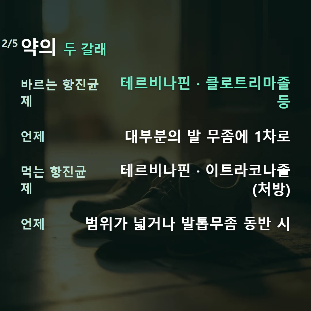 약의 두 갈래 — 바르는 항진균제 테르비나핀 · 클로트리마졸 등, 언제 대부분의 발 무좀에 1차로, 먹는 항진균제 테르비나핀 · 이트라코나졸 (처방), 언제 범위가 넓거나 발톱무좀 동반 시