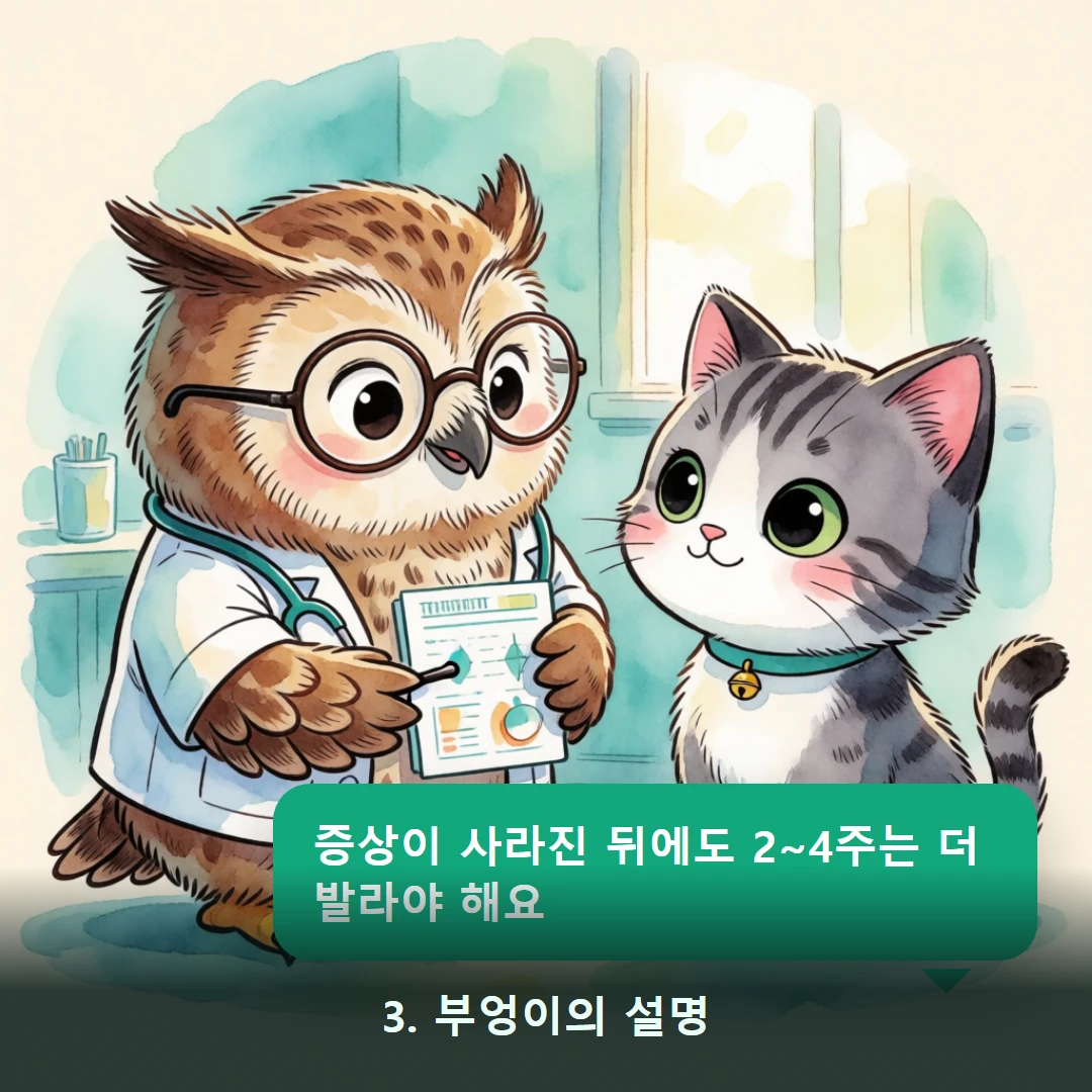 웹툰 3컷 — 3. 부엉이의 설명 (증상이 사라진 뒤에도 2~4주는 더 발라야 해요)