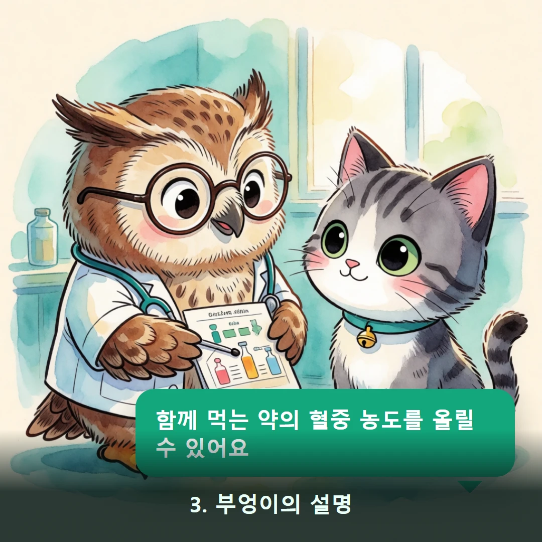 웹툰 3컷 — 3. 부엉이의 설명 (함께 먹는 약의 혈중 농도를 올릴 수 있어요)
