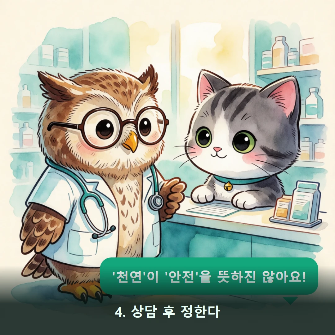 웹툰 4컷 — 4. 상담 후 정한다 ('천연'이 '안전'을 뜻하진 않아요!)