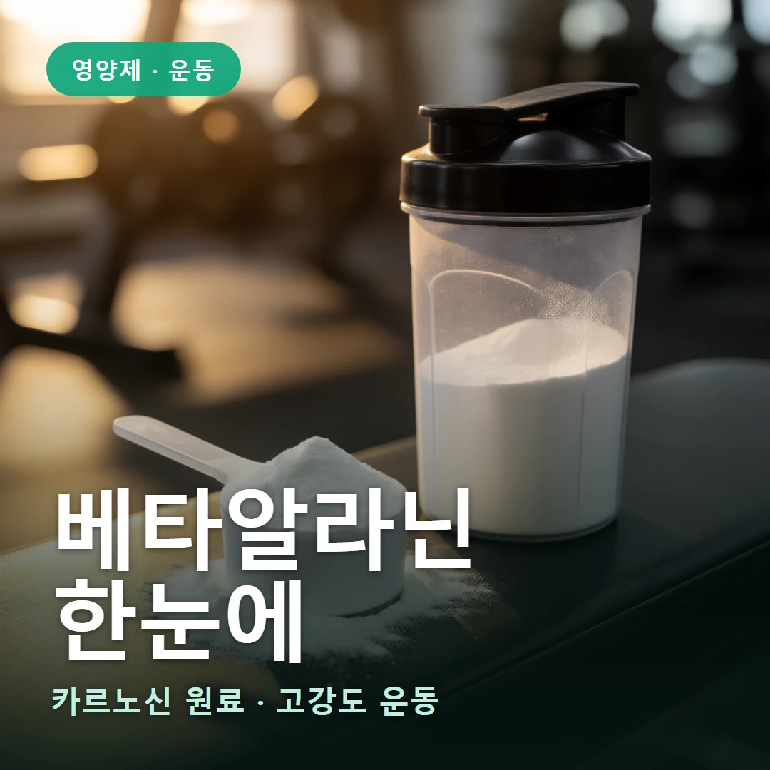 베타알라닌 요약 표지 — 카르노신 원료 · 고강도 운동