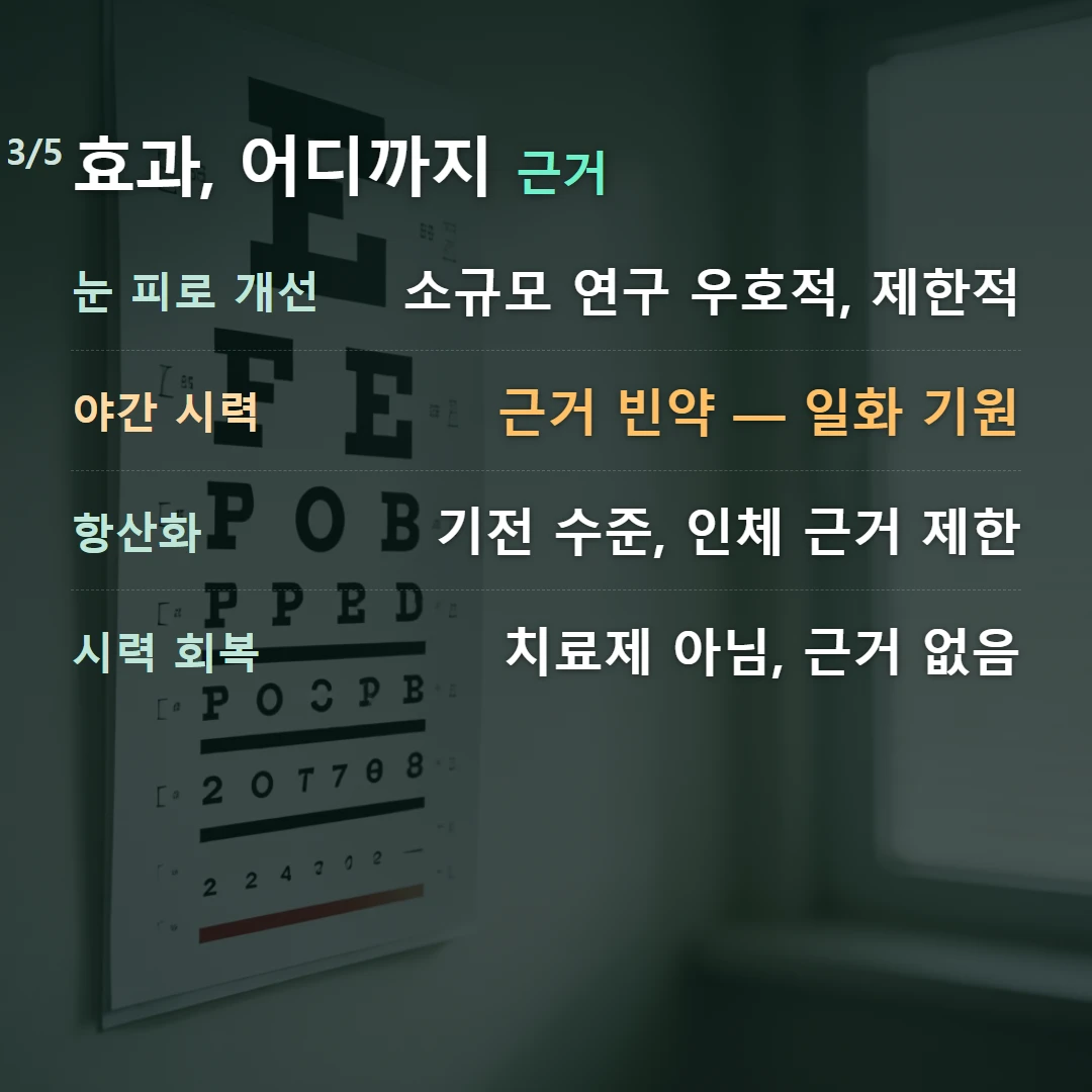 효과, 어디까지 근거 — 눈 피로 개선 소규모 연구 우호적, 제한적, 야간 시력 근거 빈약 — 일화 기원, 항산화 기전 수준, 인체 근거 제한, 시력 회복 치료제 아님, 근거 없음