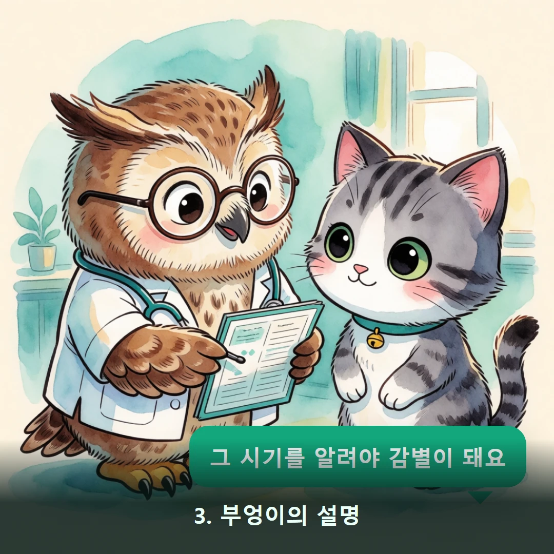웹툰 3컷 — 3. 부엉이의 설명 (그 시기를 알려야 감별이 돼요)