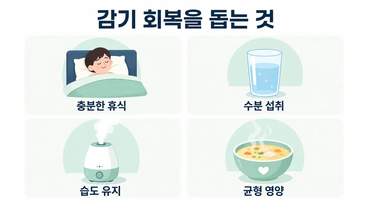 감기 회복을 돕는 방법 도표 — 휴식, 수분, 습도, 영양