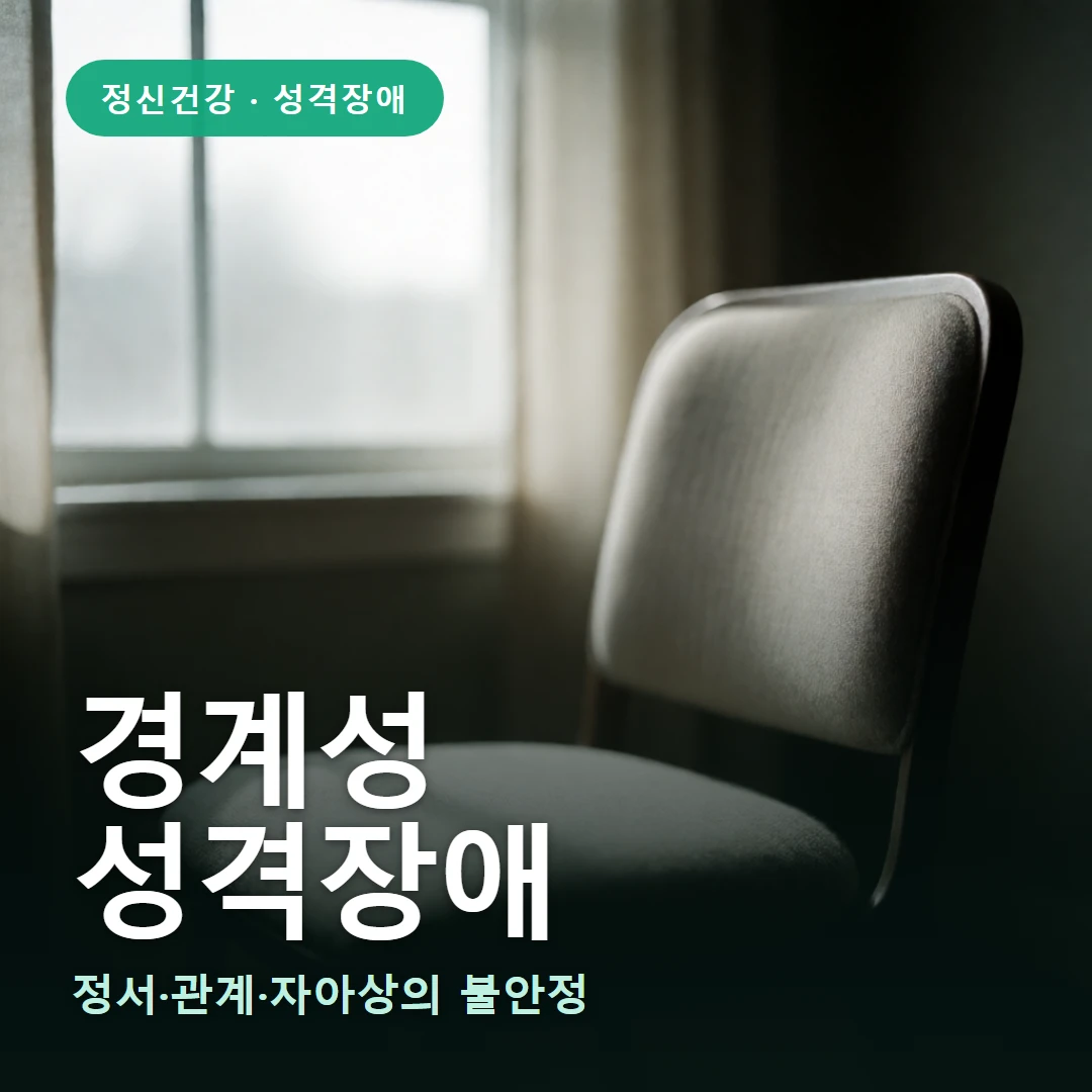 경계성 성격장애 요약 표지 — 정서·관계·자아상의 불안정