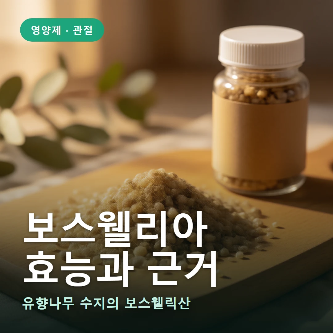 보스웰리아 요약 표지 — 유향나무 수지의 보스웰릭산