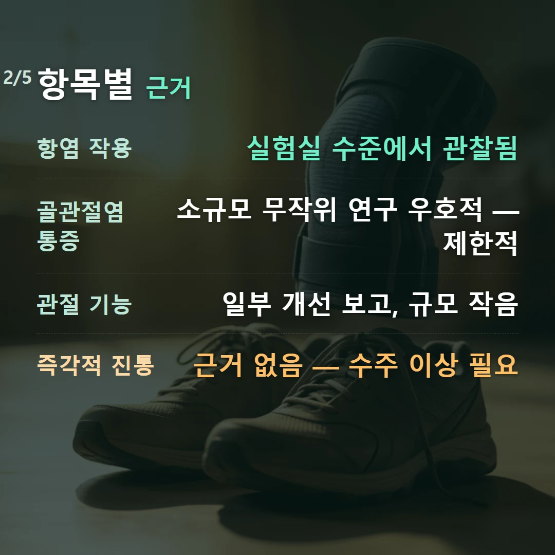 항목별 근거 — 항염 작용 실험실 수준에서 관찰됨, 골관절염 통증 소규모 무작위 연구 우호적 — 제한적, 관절 기능 일부 개선 보고, 규모 작음, 즉각적 진통 근거 없음 — 수주 이상 필요