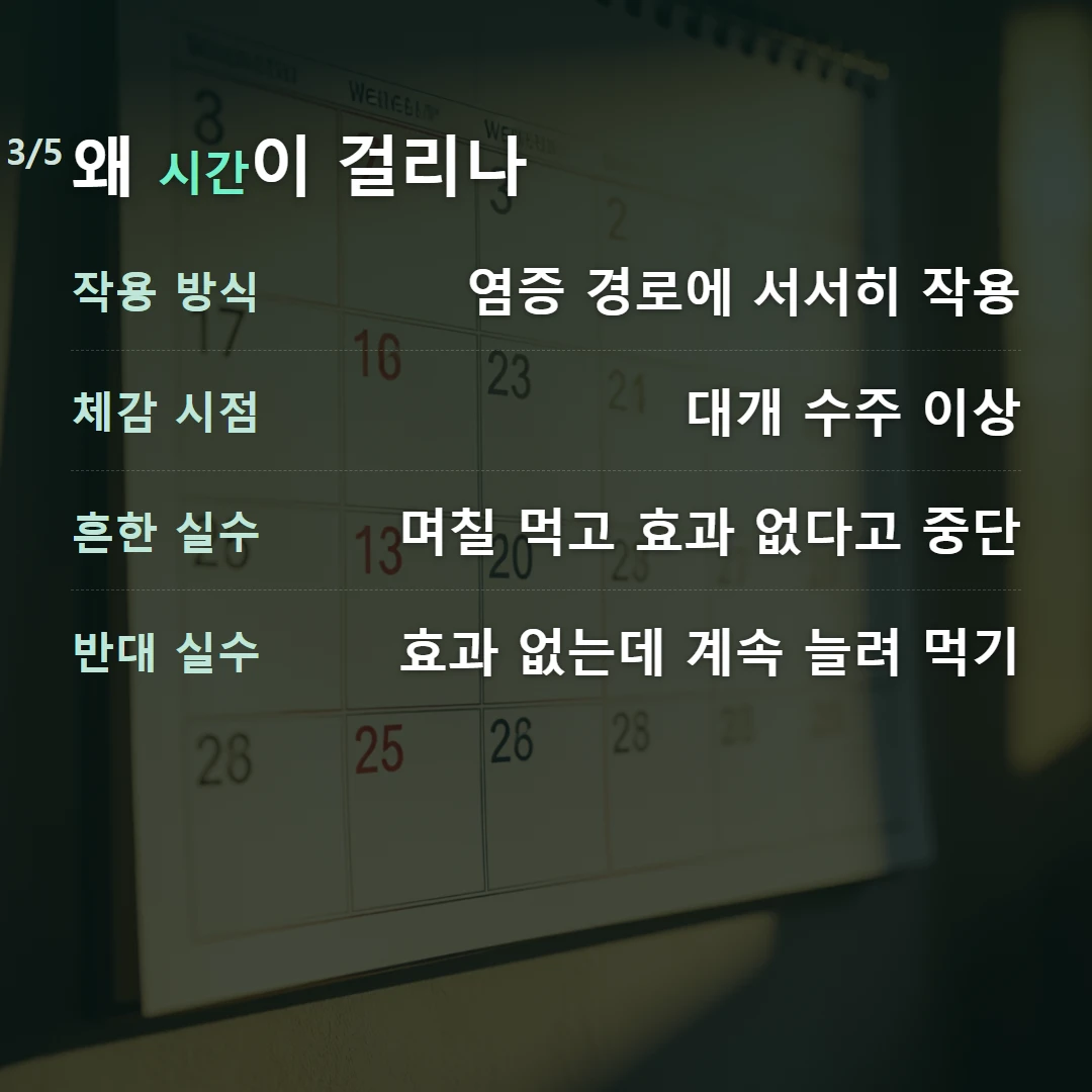 왜 시간이 걸리나 — 작용 방식 염증 경로에 서서히 작용, 체감 시점 대개 수주 이상, 흔한 실수 며칠 먹고 효과 없다고 중단, 반대 실수 효과 없는데 계속 늘려 먹기