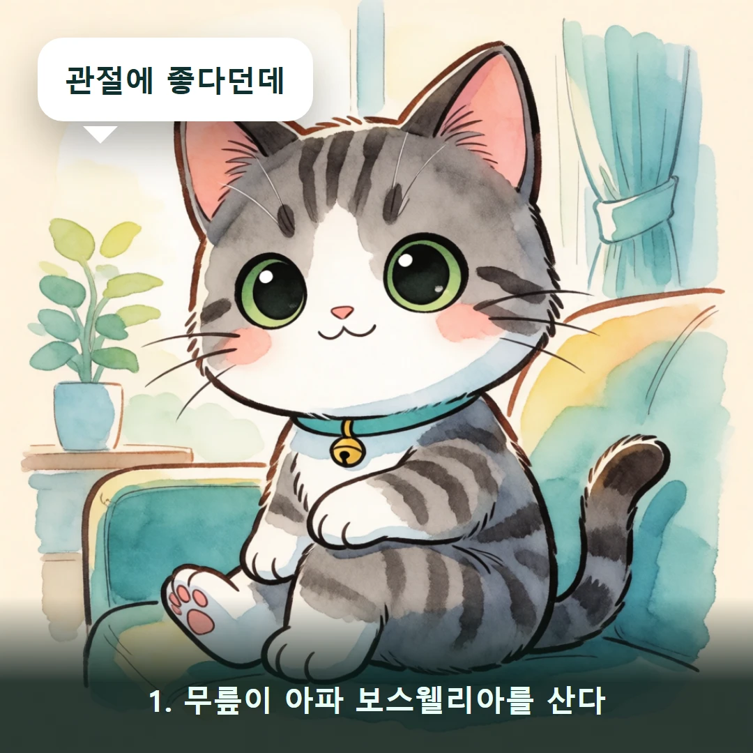 웹툰 1컷 — 1. 무릎이 아파 보스웰리아를 산다 (관절에 좋다던데)