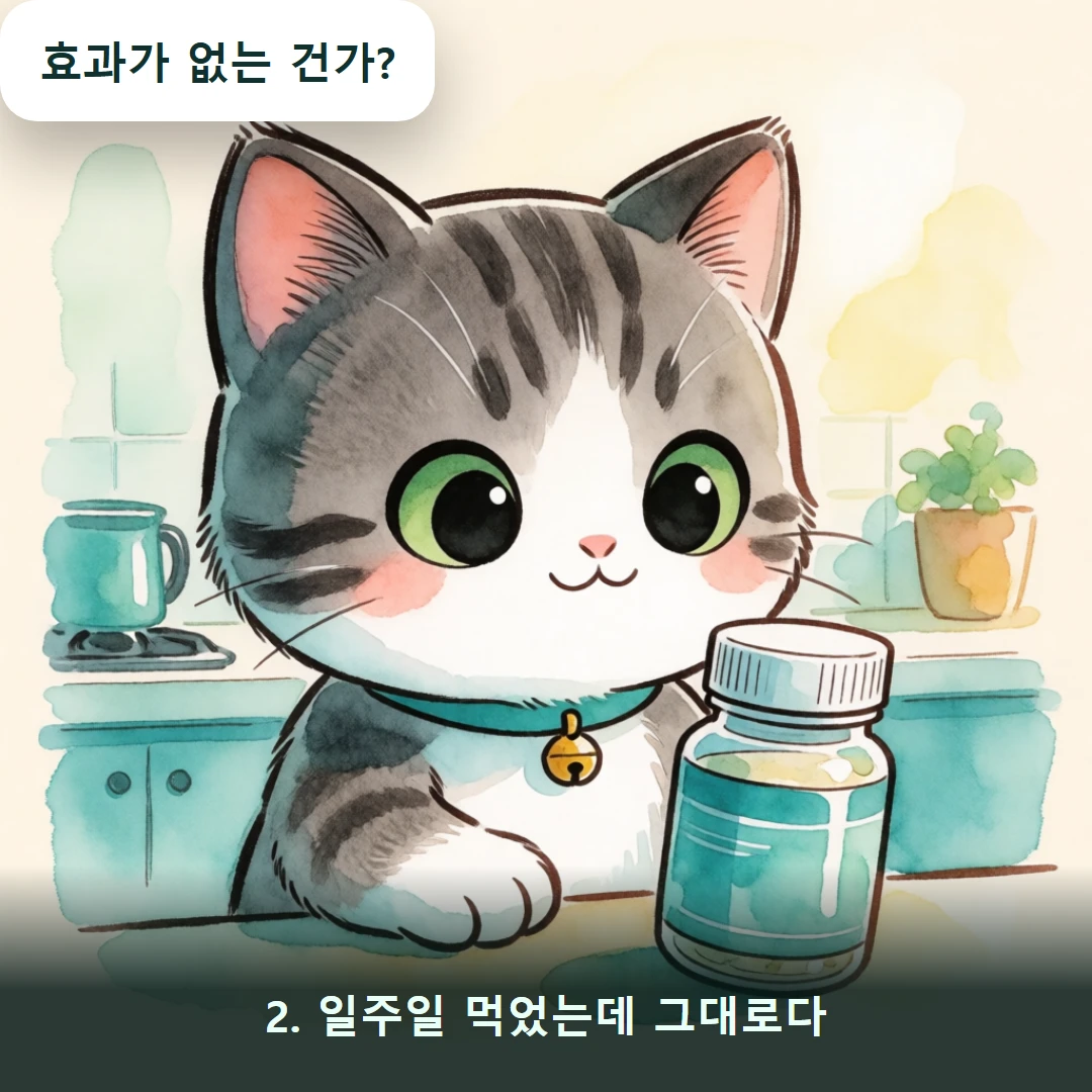 웹툰 2컷 — 2. 일주일 먹었는데 그대로다 (효과가 없는 건가?)