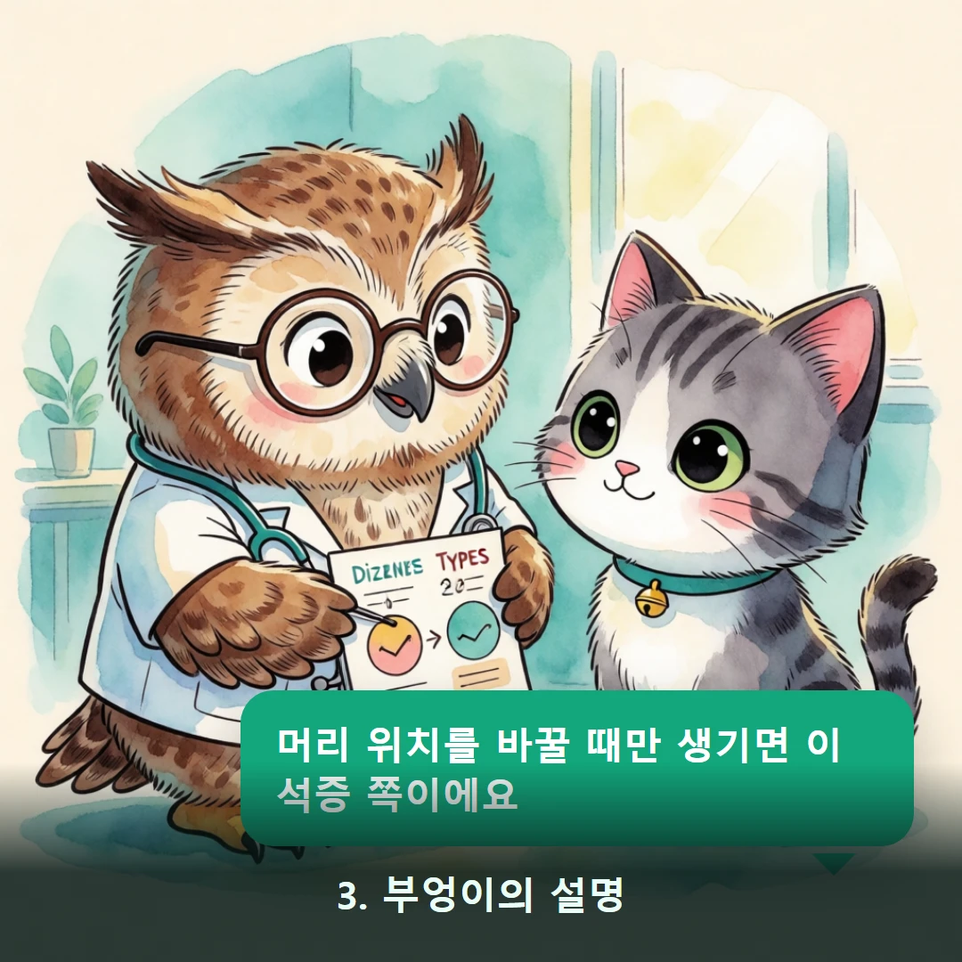 웹툰 3컷 — 3. 부엉이의 설명 (머리 위치를 바꿀 때만 생기면 이석증 쪽이에요)