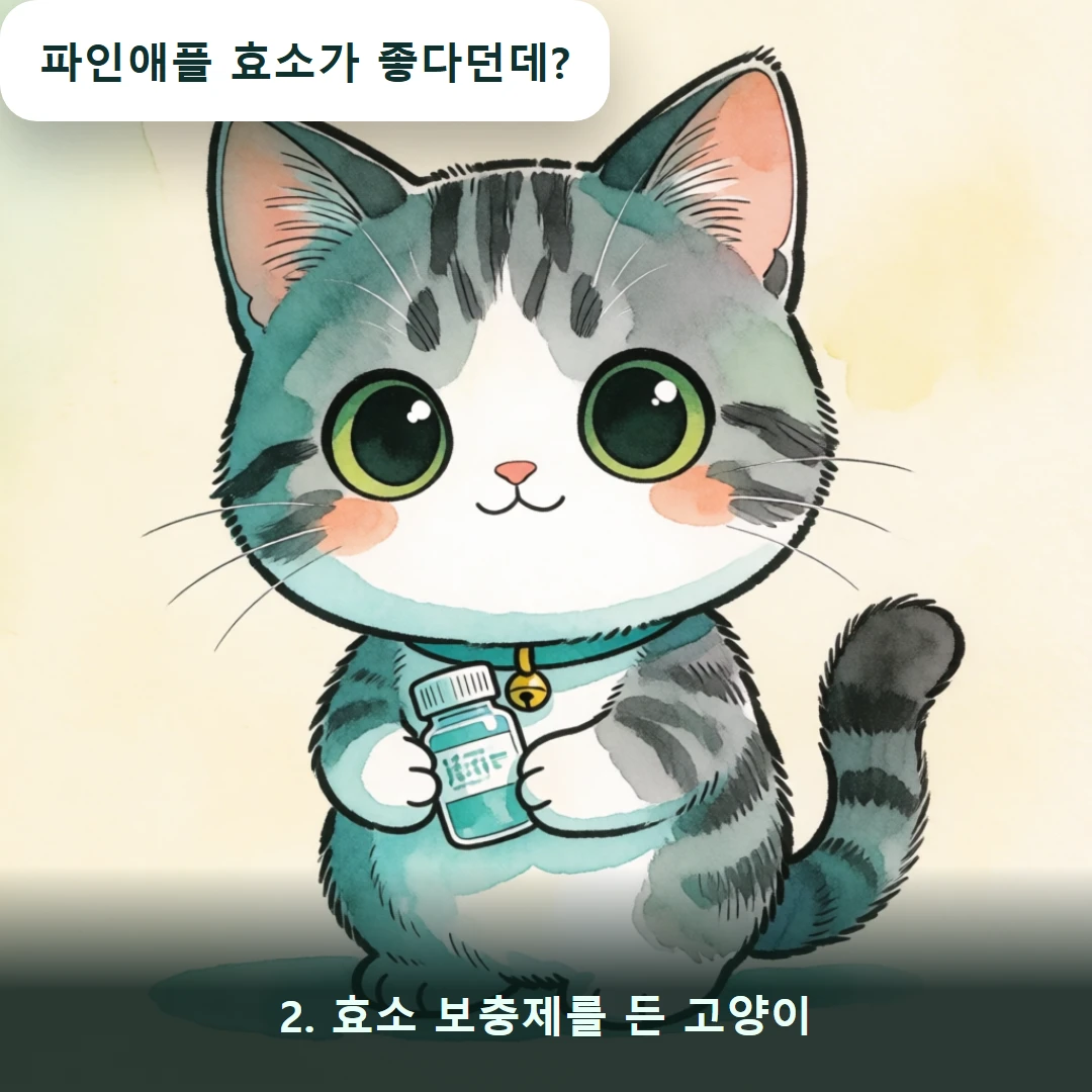 웹툰 2컷 — 2. 효소 보충제를 든 고양이 (파인애플 효소가 좋다던데?)
