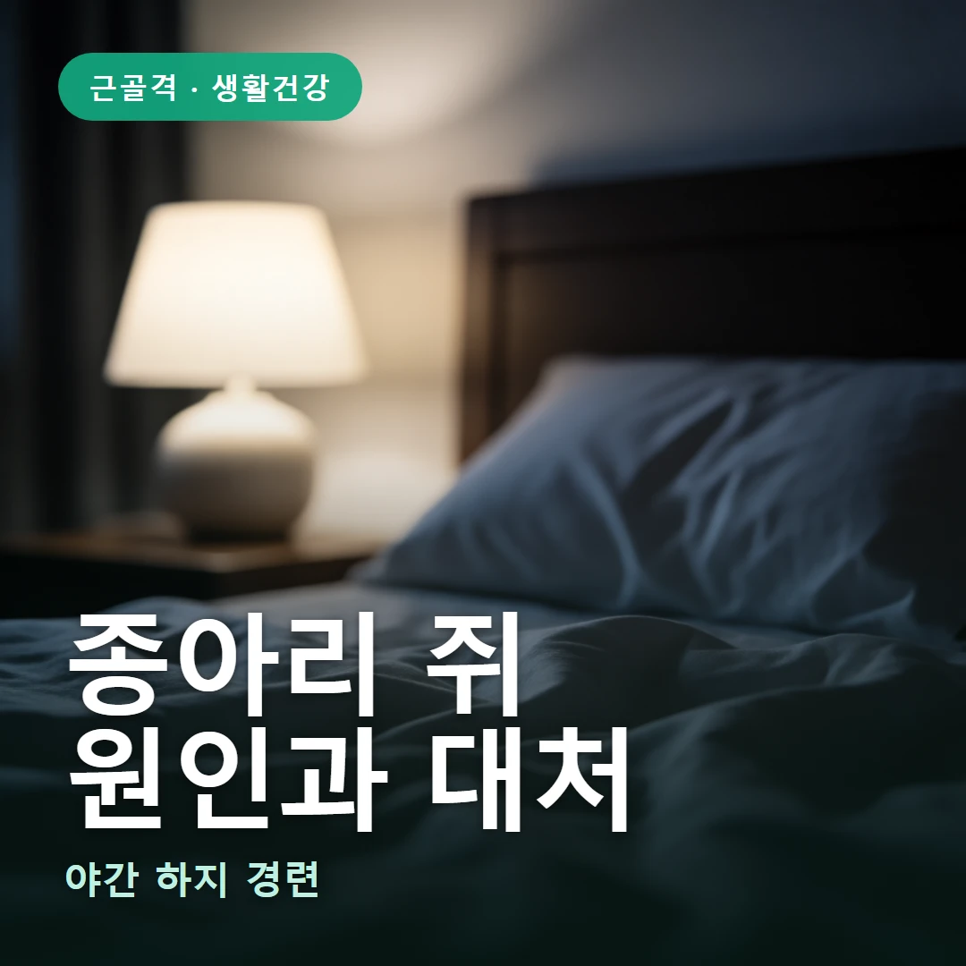 종아리 쥐 요약 표지 — 야간 하지 경련