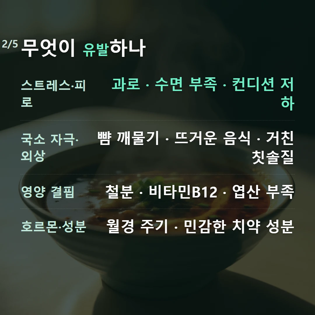 무엇이 유발하나 — 스트레스·피로 과로 · 수면 부족 · 컨디션 저하, 국소 자극·외상 뺨 깨물기 · 뜨거운 음식 · 거친 칫솔질, 영양 결핍 철분 · 비타민B12 · 엽산 부족, 호르몬·성분 월경 주기 · 민감한 치약 성분