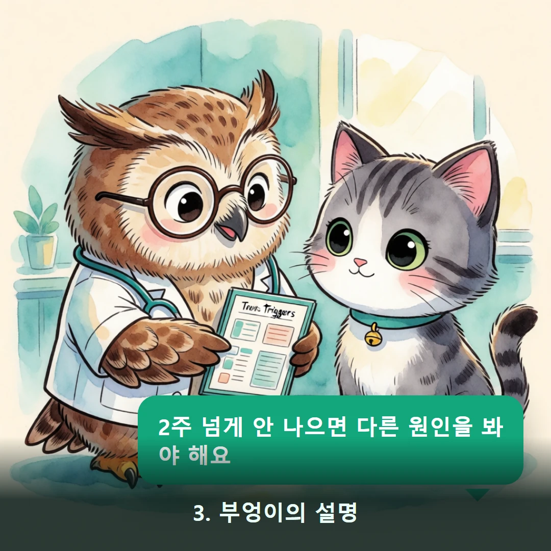웹툰 3컷 — 3. 부엉이의 설명 (2주 넘게 안 나으면 다른 원인을 봐야 해요)
