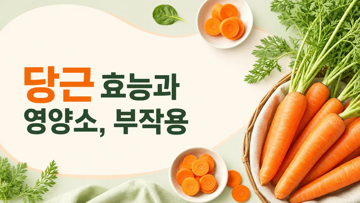 당근 효능과 베타카로틴, 부작용 총정리