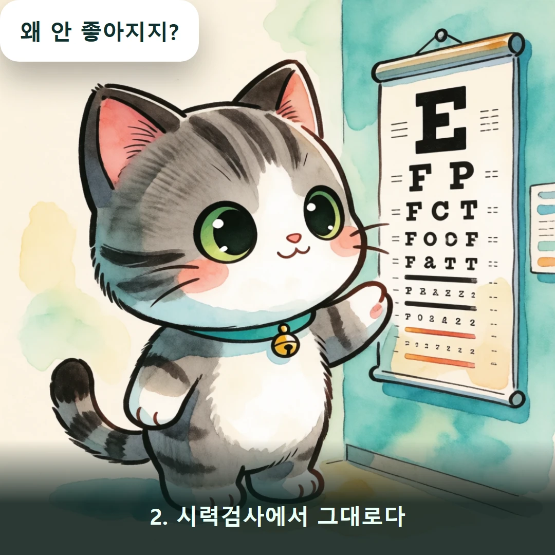 웹툰 2컷 — 2. 시력검사에서 그대로다 (왜 안 좋아지지?)