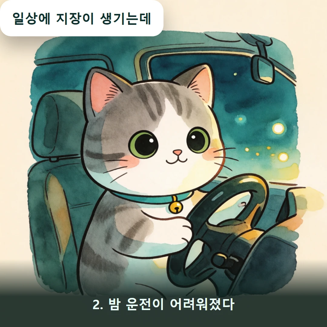 웹툰 2컷 — 2. 밤 운전이 어려워졌다 (일상에 지장이 생기는데)