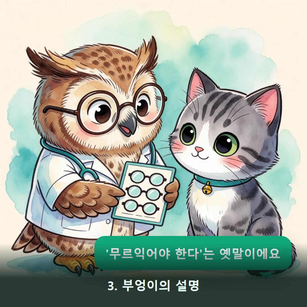 웹툰 3컷 — 3. 부엉이의 설명 ('무르익어야 한다'는 옛말이에요)
