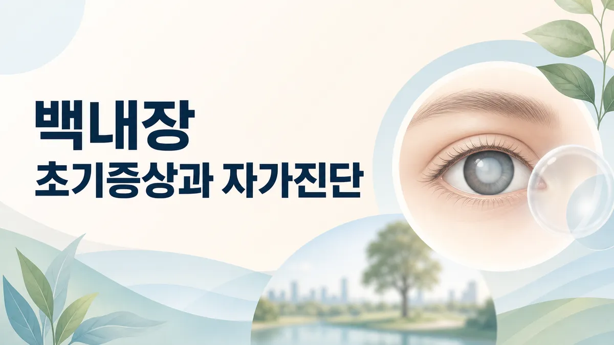 백내장 초기증상 총정리 – 뿌연 시야·빛 번짐 자가진단