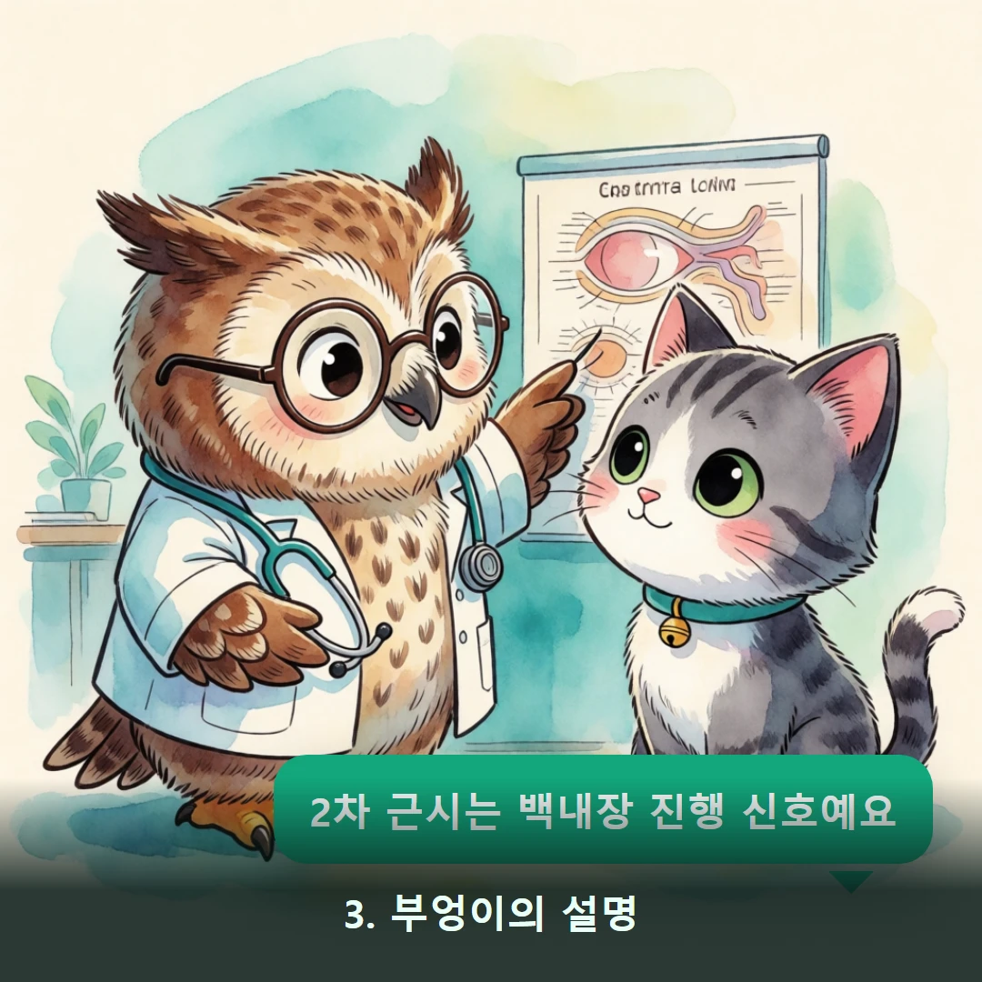 웹툰 3컷 — 3. 부엉이의 설명 (2차 근시는 백내장 진행 신호예요)