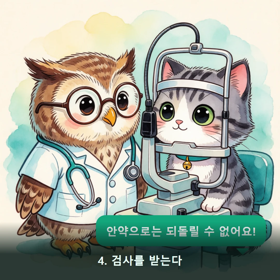 웹툰 4컷 — 4. 검사를 받는다 (안약으로는 되돌릴 수 없어요!)