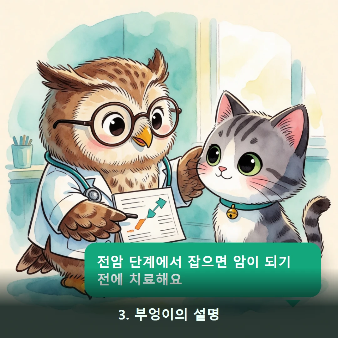 웹툰 3컷 — 3. 부엉이의 설명 (전암 단계에서 잡으면 암이 되기 전에 치료해요)