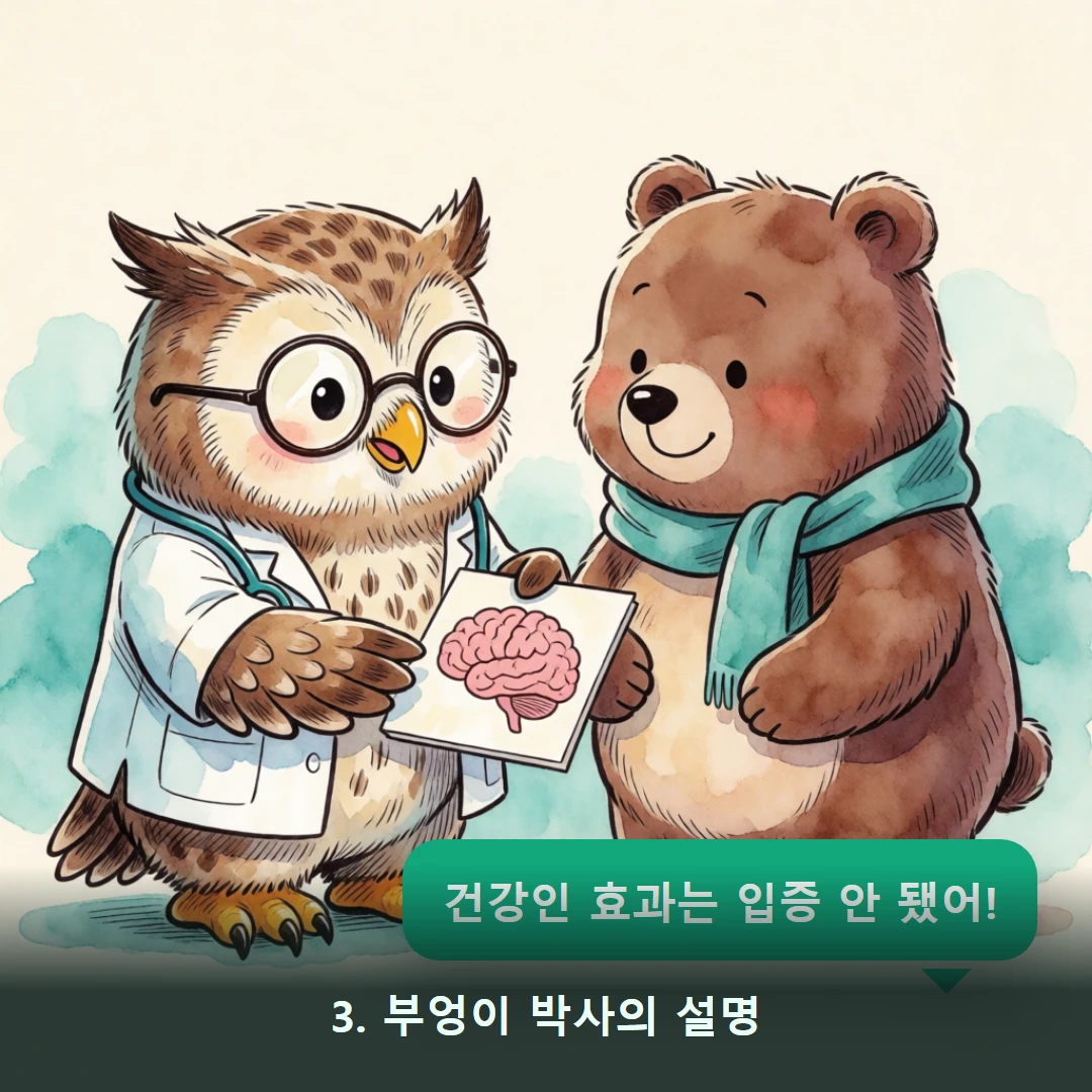 웹툰 3컷 — 3. 부엉이 박사의 설명 (건강인 효과는 입증 안 됐어!)
