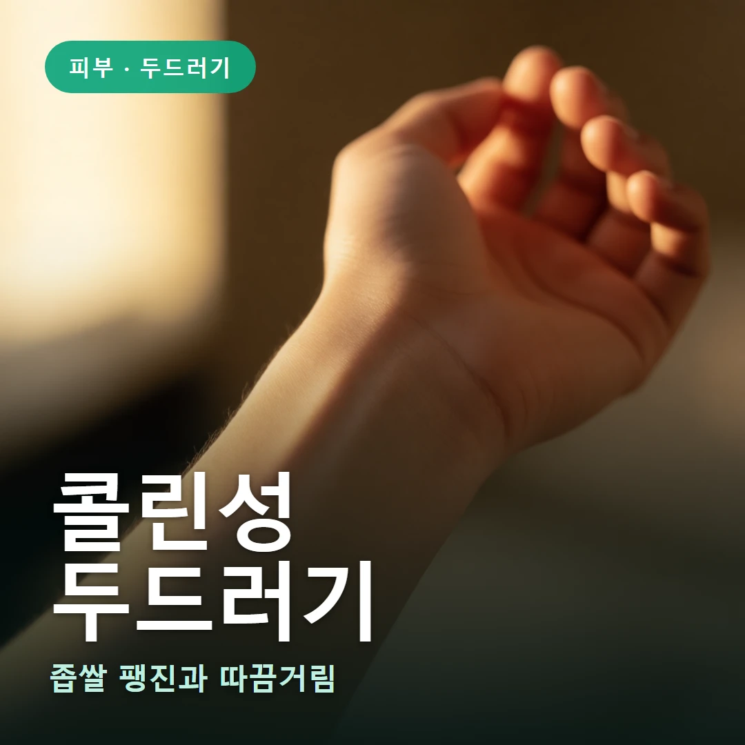 콜린성 두드러기 요약 표지 — 좁쌀 팽진과 따끔거림
