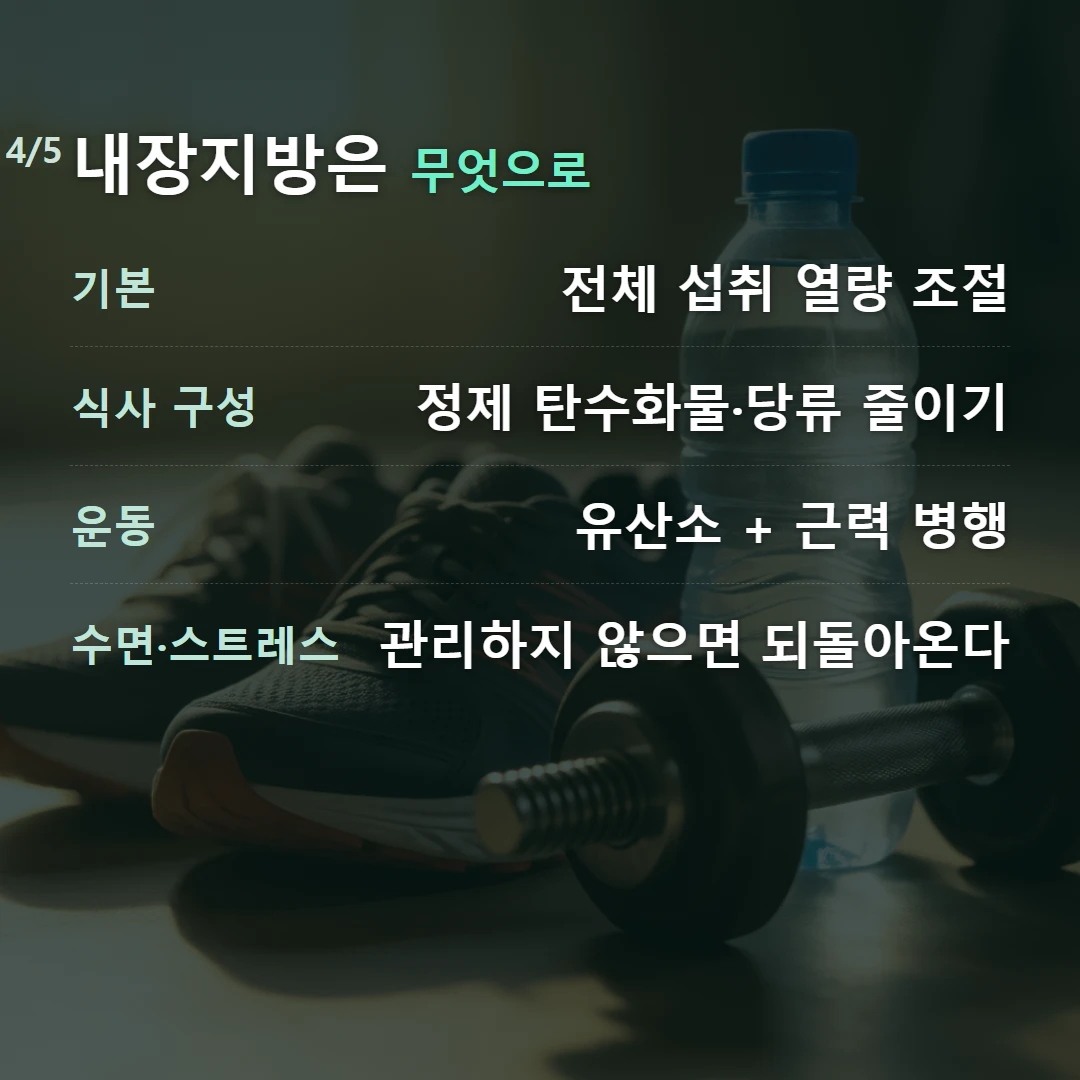 내장지방은 무엇으로 — 기본 전체 섭취 열량 조절, 식사 구성 정제 탄수화물·당류 줄이기, 운동 유산소 + 근력 병행, 수면·스트레스 관리하지 않으면 되돌아온다