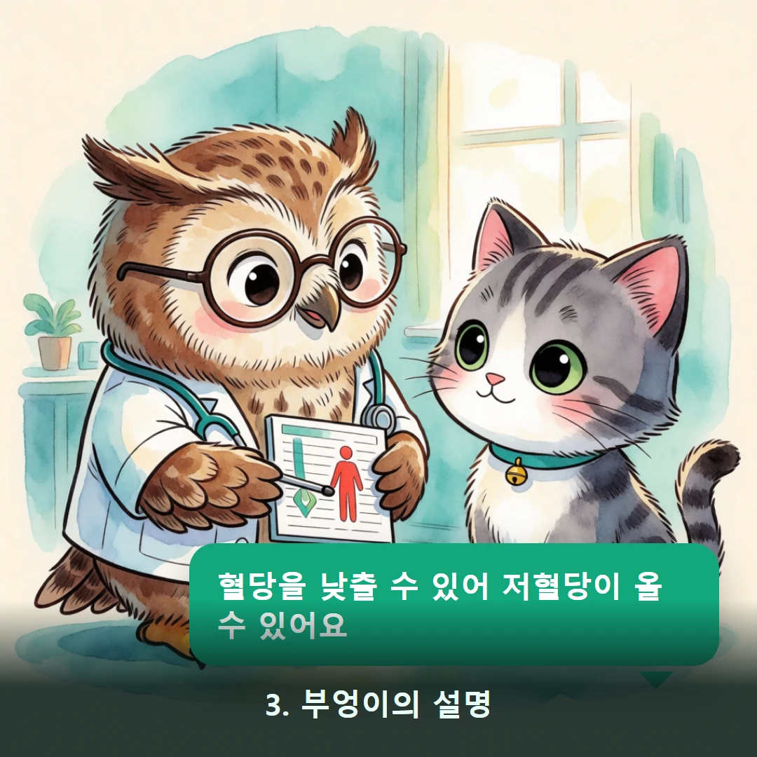 웹툰 3컷 — 3. 부엉이의 설명 (혈당을 낮출 수 있어 저혈당이 올 수 있어요)